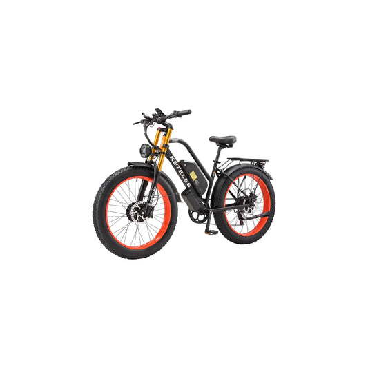 A Powerful 2000W Adult Fat Tire Electric Bicycle